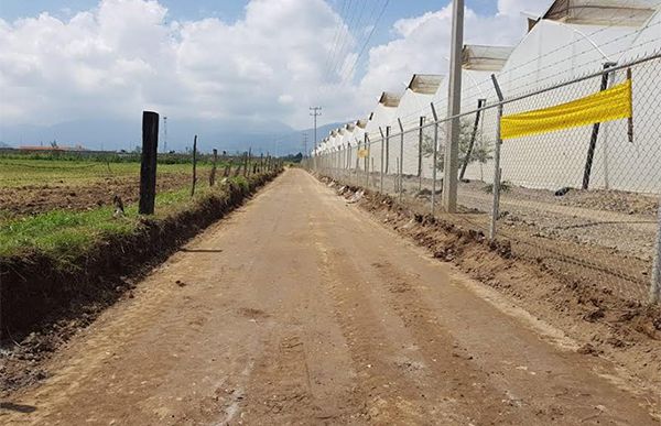 Avanza primera etapa de construcción de camino en colonia popular de Ciudad Guzmán