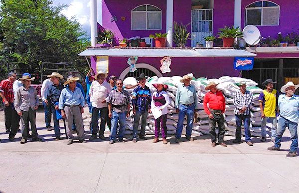 Campesinos del municipio de Charo lograron verse beneficiados con apoyo de fertilizante