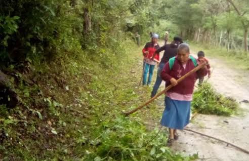 Benefician a familias tepehuas con programa de Empleo Temporal