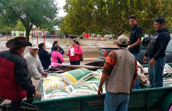 Tocó ahora fertilizante a los ejidos de la Sección Municipal de Búfalo, en Allende