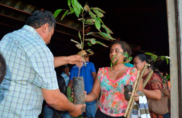 Antorchistas logran apoyo del Programa Desarrollo Integral de Traspatios