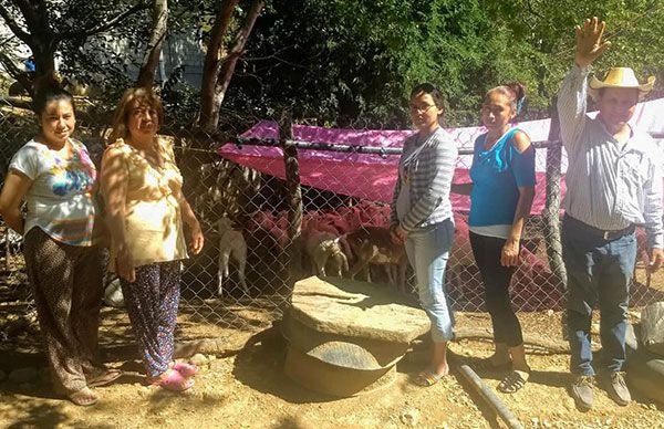 Llega El campo en nuestras manos a mujeres de Los Alacranes