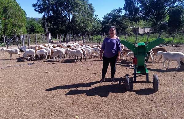 Más apoyos para mujeres de La Calera en Zirándaro