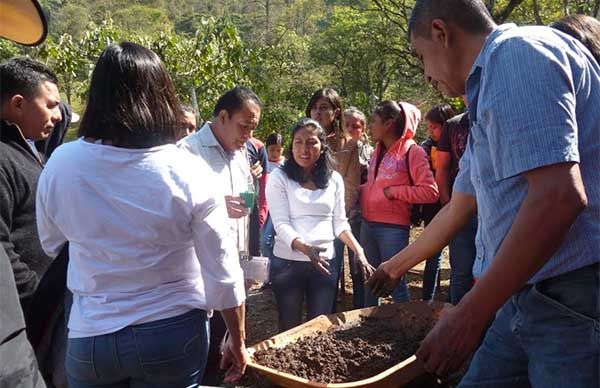 Cursos y capacitaciones para escuelas antorchistas en la Huasteca