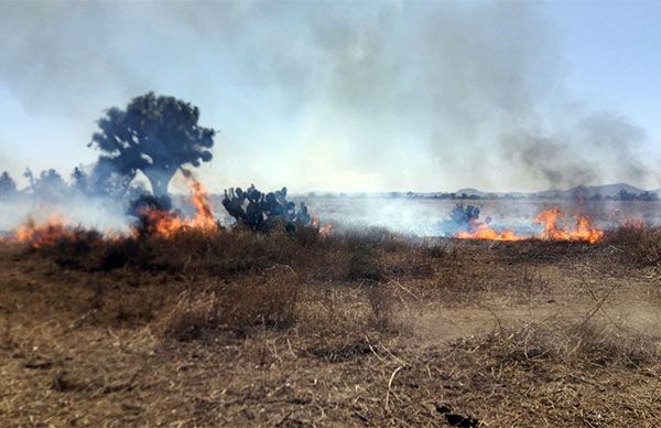 Protección Civil extinguió incendio en El Zacatón