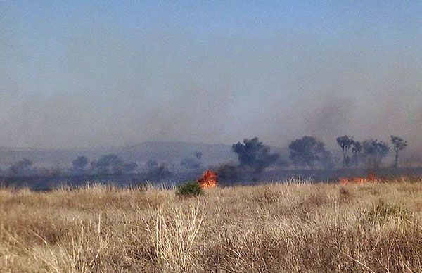 Controlan incendios en Villa de Ramos   