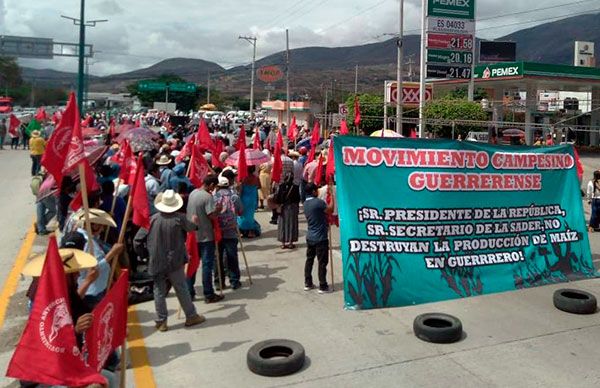 Política errática del gobierno federal traerá severas consecuencias al campo guerrerense