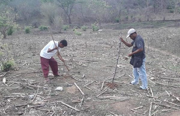 Anarquía en la entrega de fertilizante, denuncian campesinos de Acapulco