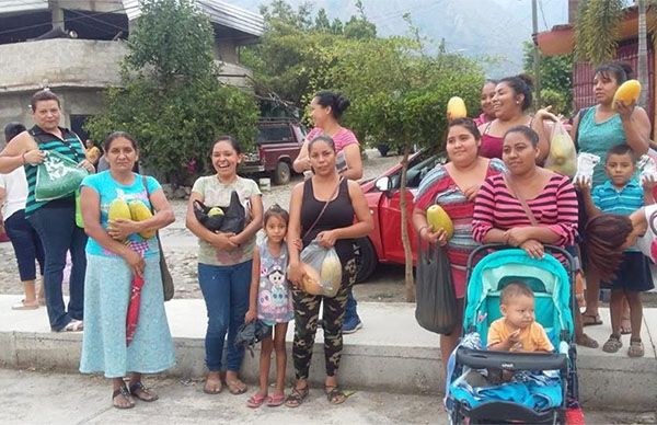 Antorchistas de Minatitlán se benefician con papayos 