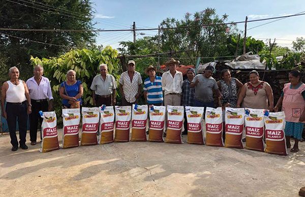 Entrega Antorcha semilla mejorada a campesinos de la región Costa Chica