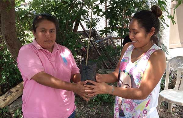  Por petición de colonos, Antorcha llega a la colonia Flor de Mayo