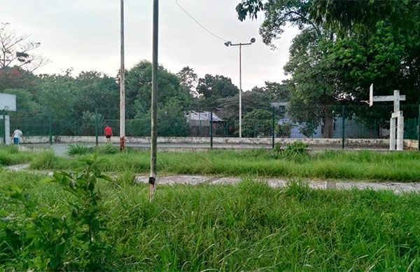 Parque de colonia El Cedral, en lamentables condiciones