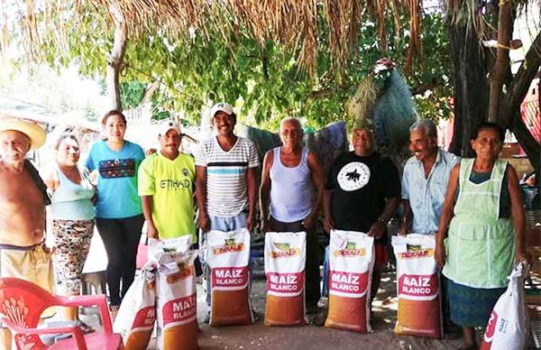 Logra Antorcha maíz mejorado para campesinos de San Marcos 