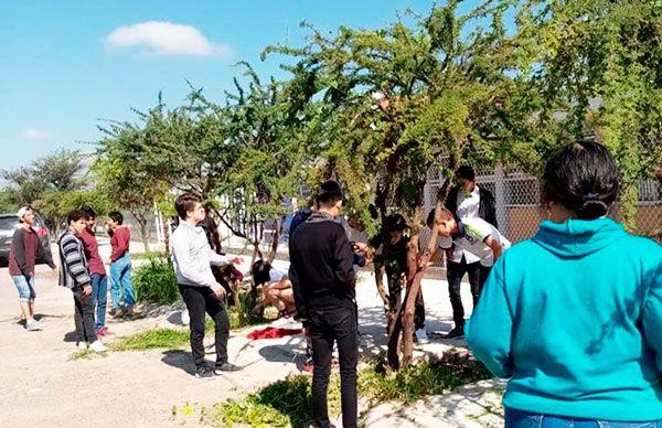 Alumnos realizan faena alrededor de la escuela 