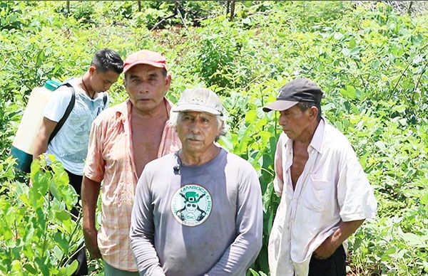 Antorchistas de Peto exigen cumplimiento en la entrega de apoyos