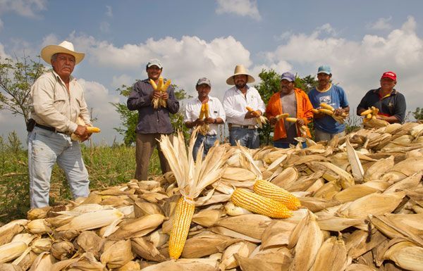 ¿A dónde va el campo con la 4T?