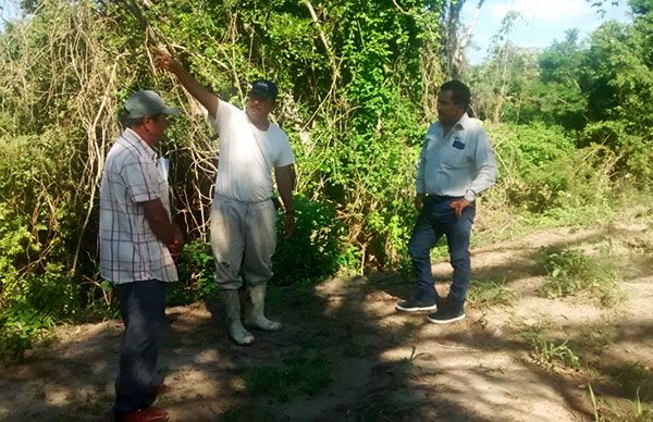 En Tomatlán, antorchistas se preocupan por elevar la productividad del campo