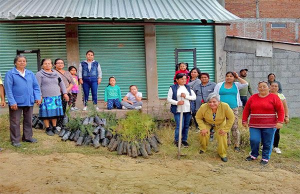 Colonos de la 13 de Abril en Morelia reforestan su área verde