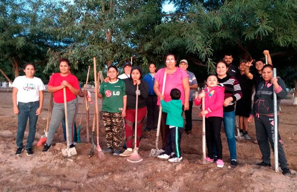 Oasis y los laureles limpian sus espacios en la griega