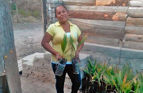 Colonos logran apoyo de plantas para sus áreas verdes en Tarímbaro