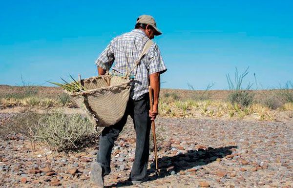 El campo y colonos: víctimas del recorte presupuestal