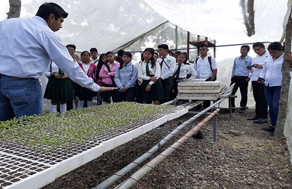 Celebran día de la Ciencia y Tecnología en el CBTa 136 de Tantoyuca