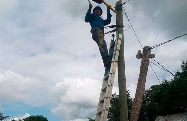 Se organizan, luchan y logran electrificación