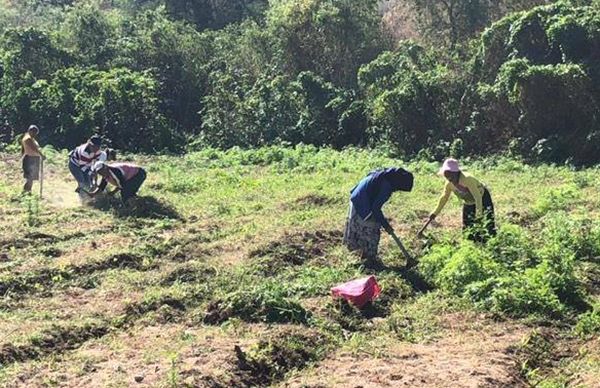 Campesinos antorchistas se movilizarán mañana en Sader