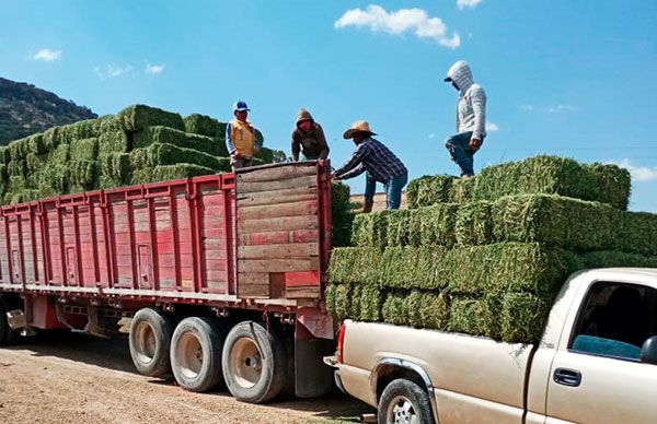 Entrega ayuntamiento de Mexquitic apoyos para estiaje