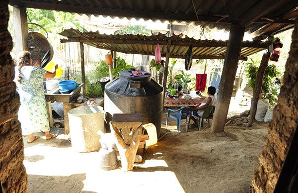 Seguridad social para oaxaqueños ante emergencia sanitaria: Antorcha