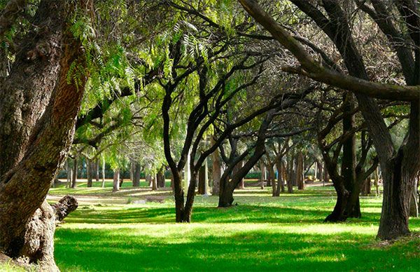 Convoca líder estudiantil a estudiantes acatar cuarentena