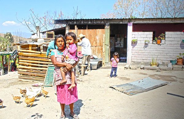 Oaxaqueños sin alimento y agua potable buscan sobrevivir