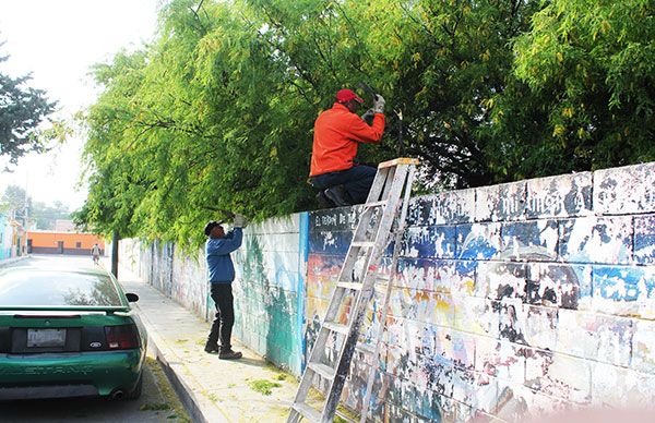 Mejora ayuntamiento de Charcas tránsito con poda de árboles 