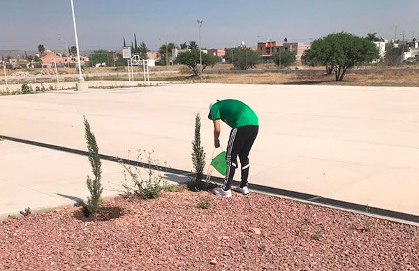 Garantizan estudiantes sobrevivencia de árboles de renuevo