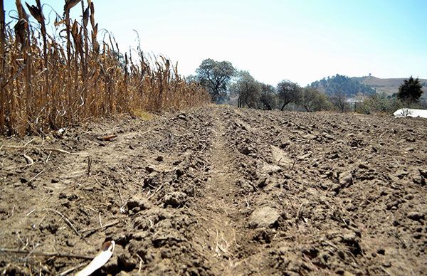 Pequeños productores y comerciantes de Oaxaca demandan apoyosÂ 