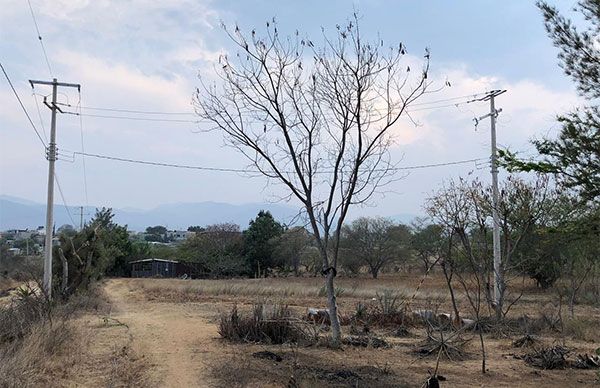 Concluyen obra de electrificación en comunidad oaxaqueña