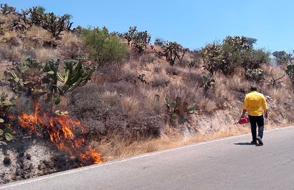 Construyen líneas negras para prevenir incendios 