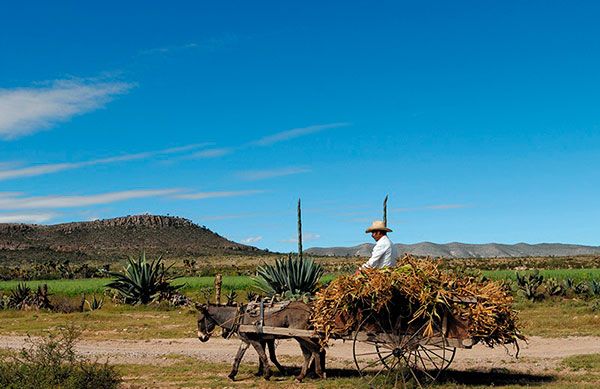 Real de Catorce, sin agua y sin comida