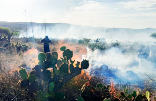 Registra Mexquitic dos incendios forestales 