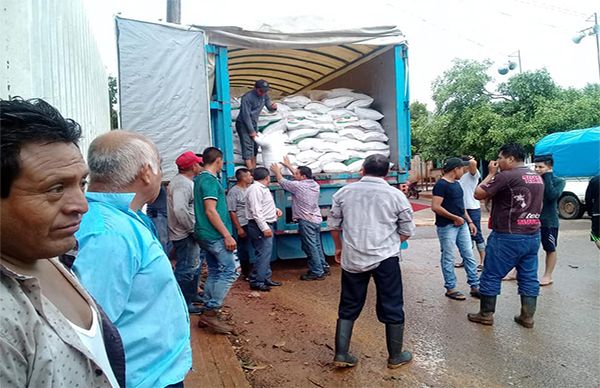 Gestión de antorchistas consigue 40 toneladas de fertilizante para campesinos de Soteapan.