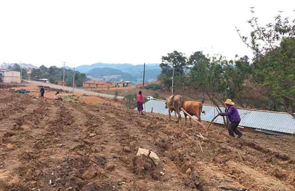 Exigen campesinos de Atlixtac celeridad en la entrega de fertilizante