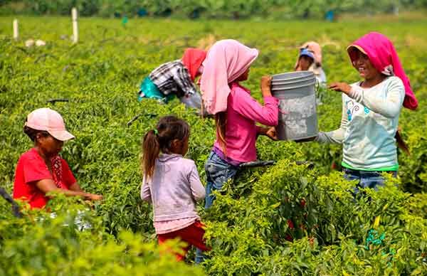 Campesinos, víctimas de la indiferencia de AMLO