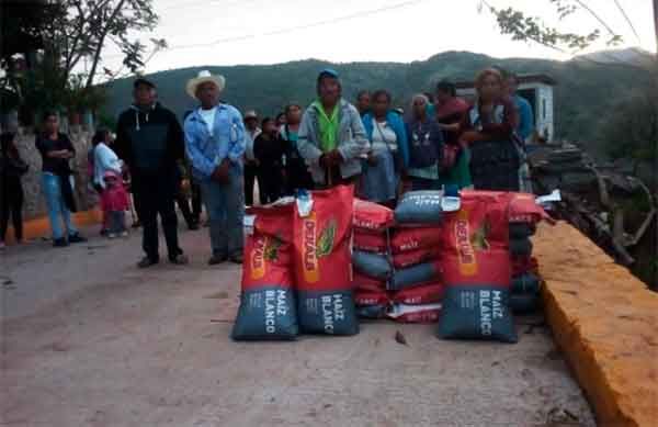 Semilla de maíz mejorada beneficia a campesinos de Chilapa