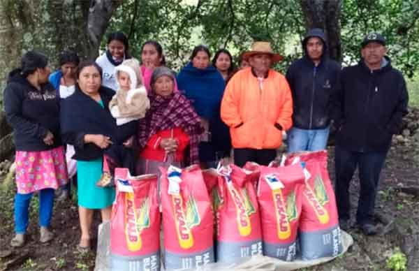 Con semilla mejorada, impulsa Antorcha el campo en Tixtla y Chilapa 