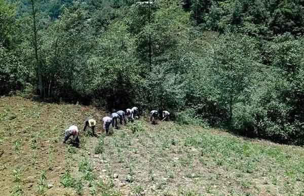 Ante la falta fertilizante, campesinos de Atlixtac acudirán a la Segalmex