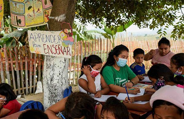 Opinión | La educación, en tiempos de la 4T y la pandemia