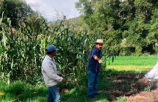 Sacrifica Gobierno al campo de Hidalgo 