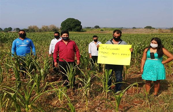 Gobierno morenista de Veracruz deja sin apoyos a campesinos de la sierra de Soteapan