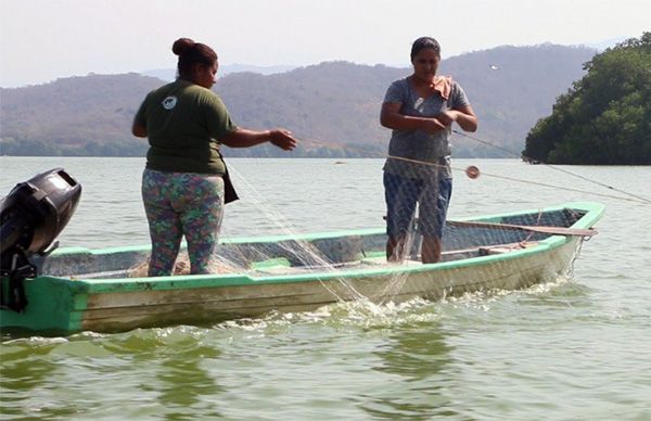 Pescadoras oaxaqueñas piden auxilio 