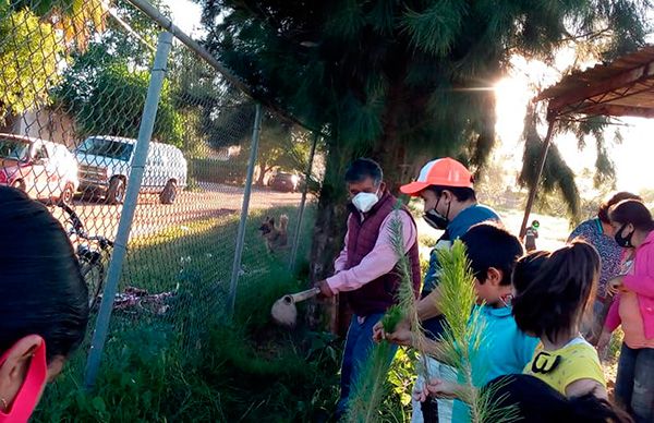 Reforestan área verde de Estación San José, Fresnillo